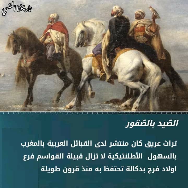 الصيد بالصقور والجوارح بالمغرب العربي