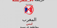 العريضة الرقمية المغربية بعنوان: نعم للعدالة اللغوية في المغرب و لا للفرنسة