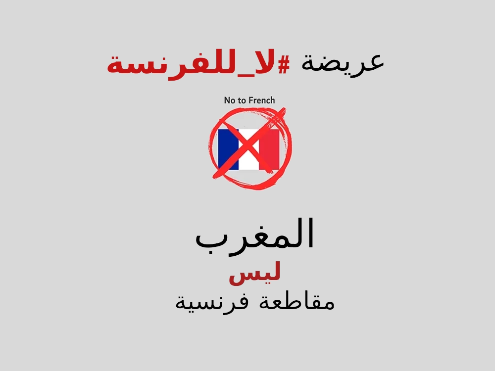 العريضة الرقمية المغربية بعنوان: نعم للعدالة اللغوية في المغرب و لا للفرنسة