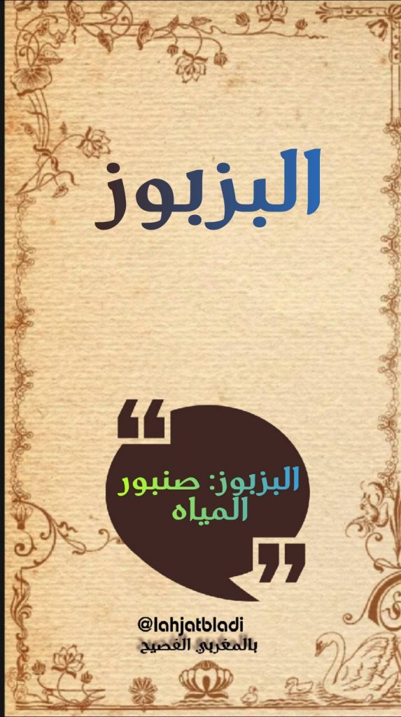 البزبوز كسُرْسور يقال لقَصبةٍ من حديد أو صُفْر أو نحاسٍ تُجعَلُ في الحِياض يُتوَضَّأَ منها كأنّه على التشبيه فيهما ببِزْباز الكِير أو غير ذلك .