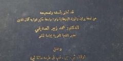 ابن ربن الطبري هو أبو الحسن علي بن سهل بن ربن، من أهل مرو بطبرستان. طبيب وفلكي ورياضي وعالم باللغات، اشتغل بتدريس الطب مدة وكان الطبيب المعروف أبو بكر الرازي أحد تلاميذه. كان ابن ربن نصرانيا (وقيل يهوديا ) وأسلم على يد الخليفة المعتصم. وله العديد من الكتب من أهمها: كتاب (الدين والدولة) -في إثبات نبوة النبي محمد صلى الله عليه وسلم- و(تحفة الملوك) و(منافع الأطعمة والأشربة والعقاقير) و(حفظ الصحة) و(كتاب في الأمثال والأدب على مذاهب الفرس والروم والعرب)، وقد توفي عام 247هـ.