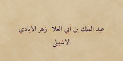 هو أبو مروان عبد الملك بن محمد بن مروان بن زُهر الايادي. ثاني علماء هذه الأسرة، اشتغل بالفقه ونبغ فيه كأبيه، إلا أنه كان طموحًا فاشتغل بالطب وكان من الأطباء المهرة الحاذقين، ومارسه في حواضر الشرق أولاً