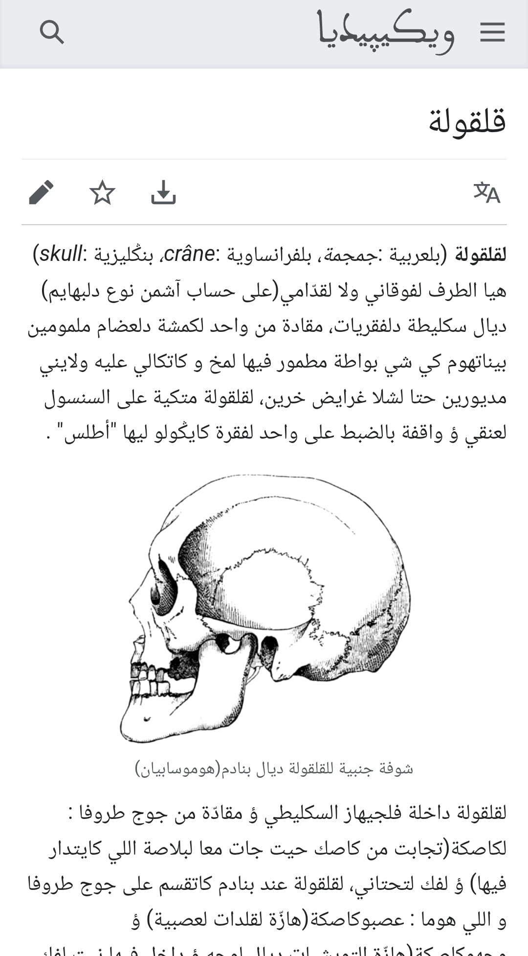 الدارجة المغربية : القلقولة